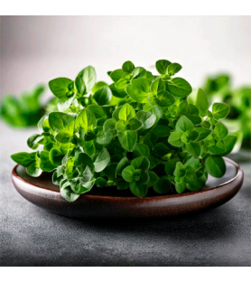Oregano Natural Sweet flavour